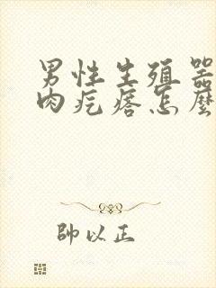 男性生殖器长了肉疙瘩怎么回事封面