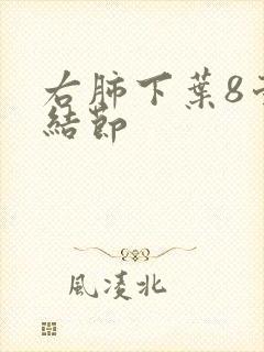 右肺下叶8毫米结节封面