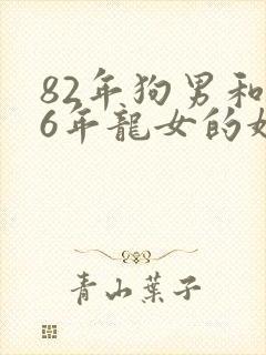 82年狗男和76年龙女的婚姻怎么样封面