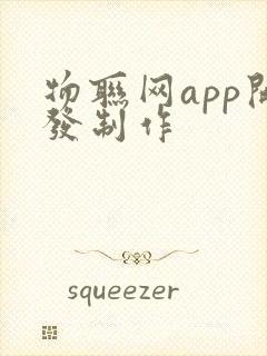 物联网app开发制作