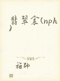 翡翠衾(nph)