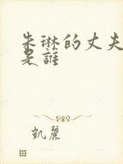 朱琳的丈夫到底是谁封面