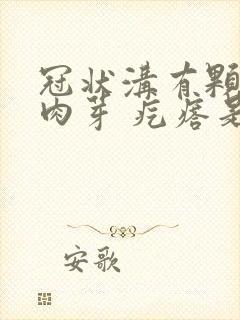 冠状沟有颗粒 肉芽 疙瘩是怎么回事