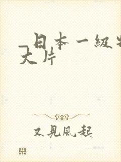 _日本一级特黄大片