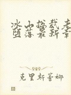 冰山总裁老婆的堕落最新章节免费阅读