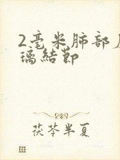 2毫米肺部磨玻璃结节