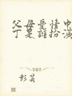 父母爱情中的老丁是谁扮演的