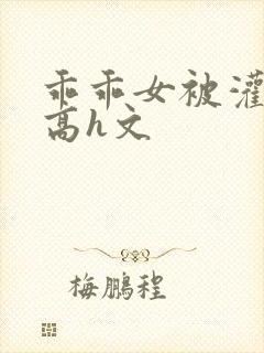 乖乖女被灌满精高h文