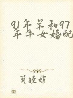 91年羊和97年牛女婚配