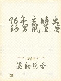 96年亥时出生的男鼠怎么样