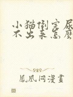 小猫倒完尿还排不出来怎么办封面