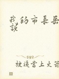 我的市长岳母小说