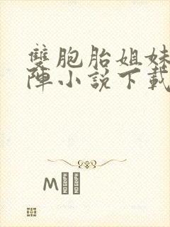 双胞胎姐妹齐上阵小说下载