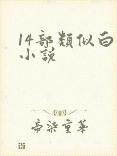 14部类似白洁小说封面