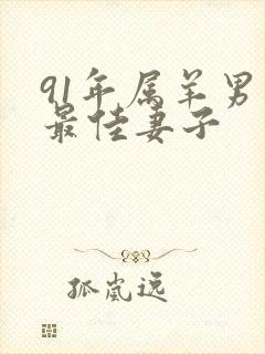 91年属羊男人最佳妻子