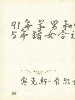 91年羊男和95年猪女合适吗封面