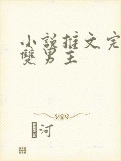 小说推文完结文双男主封面