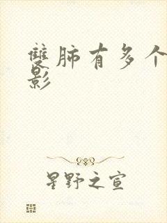 双肺有多个结节影