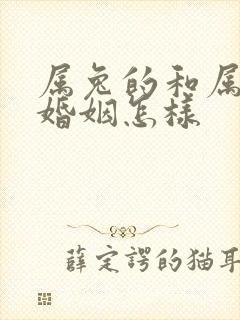 属兔的和属蛇的婚姻怎样