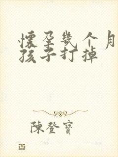 怀孕几个月能把孩子打掉