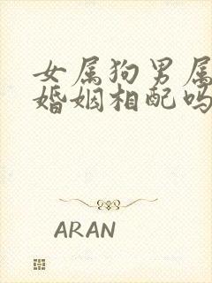 女属狗男属羊的婚姻相配吗封面