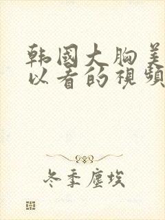 韩国大胸美女可以看的视频