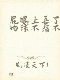 屁眼上长了一个肉球不痛不痒封面