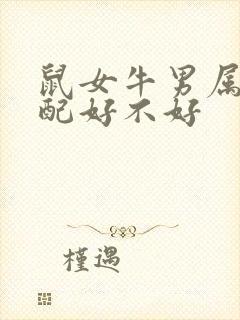 鼠女牛男属相婚配好不好封面