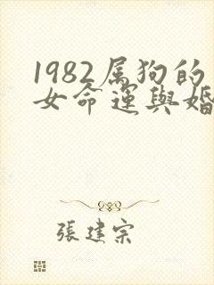 1982属狗的女命运与婚姻