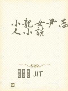 小龙女尹志平同人小说封面