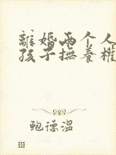 离婚两个人都要孩子抚养权怎么办