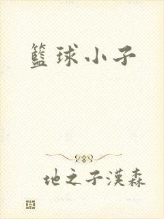 篮球小子