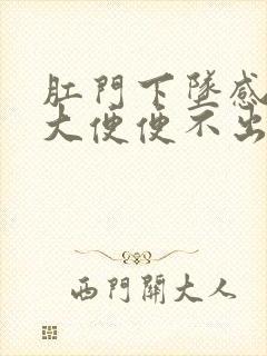 肛门下坠感老想大便便不出来