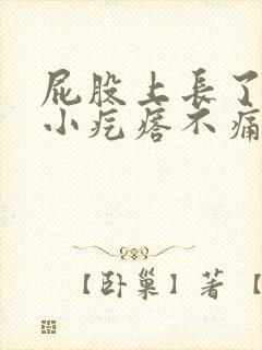 屁股上长了一个小疙瘩不痛不痒封面