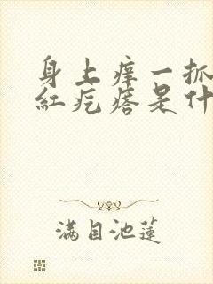 身上痒一抓就起红疙瘩是什么原因封面