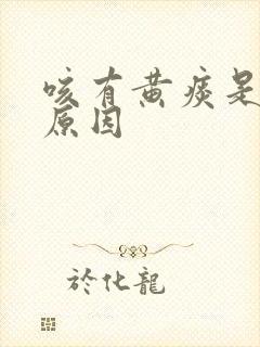 咳有黄痰是什么原因封面