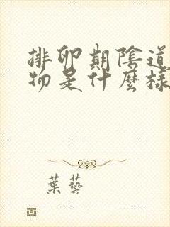 排卵期阴道分泌物是什么样的