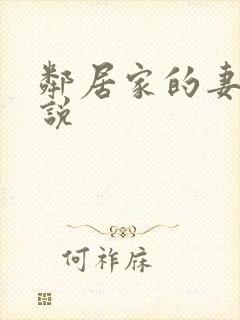邻居家的妻子小说