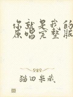 你就是我的唯一原唱完整版