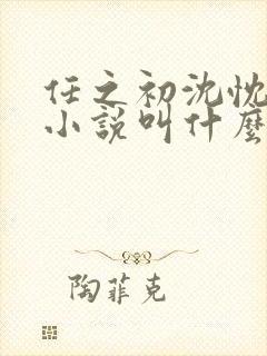 任之初沈忱原著小说叫什么名字