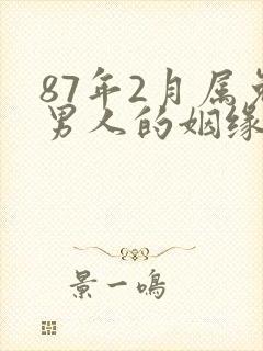 87年2月属兔男人的姻缘封面