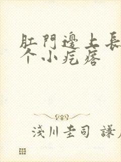 肛门边上长了两个小疙瘩封面