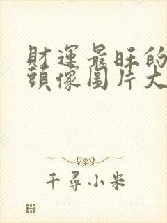 财运最旺的微信头像图片大全