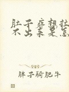 肚子疼想拉屎拉不出来是怎么回事