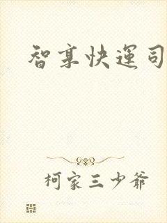 智享快运司机版