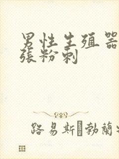 男性生殖器根部张粉刺