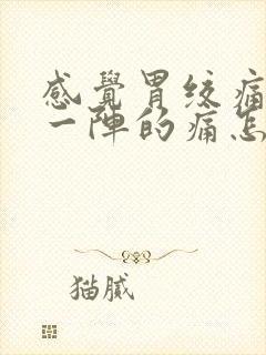 感觉胃绞痛一阵一阵的痛怎么回事