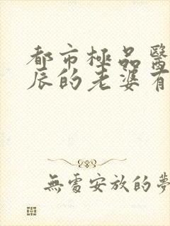 都市极品医神叶辰的老婆有几个