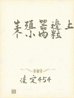 生殖器边上长了个小肉粒