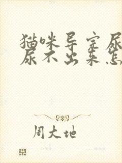 猫咪导完尿还是尿不出来怎么办